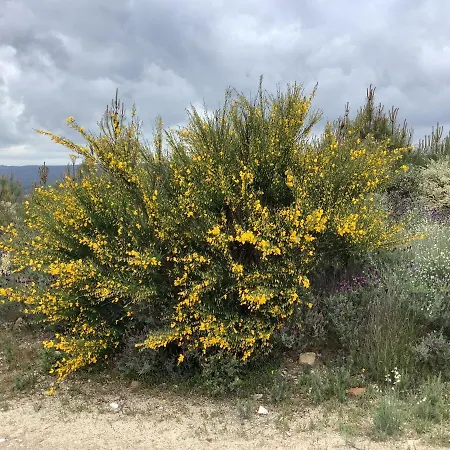 Tatil Evi Casa De Ferias Santos