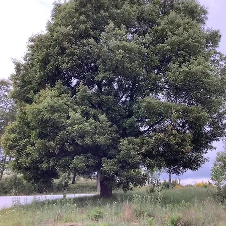Casa De Ferias Santos