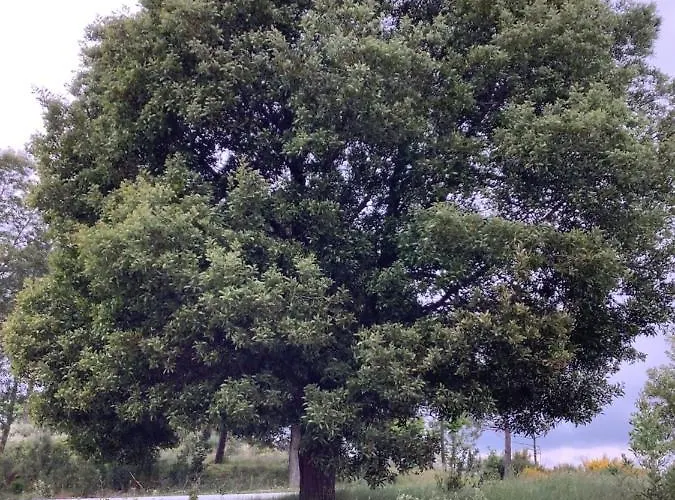 Casa De Ferias Santos